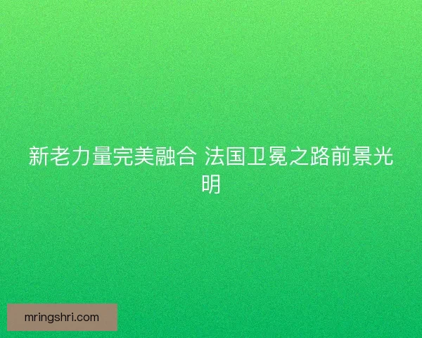 新老力量完美融合 法国卫冕之路前景光明